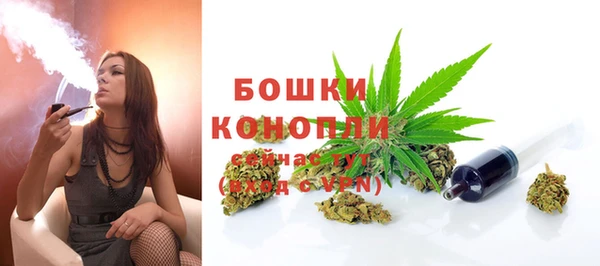 a pvp Бородино
