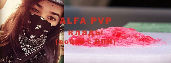 a pvp Бородино