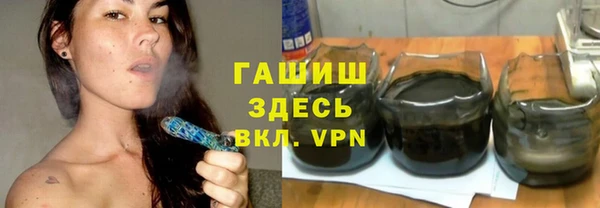 a pvp Бородино