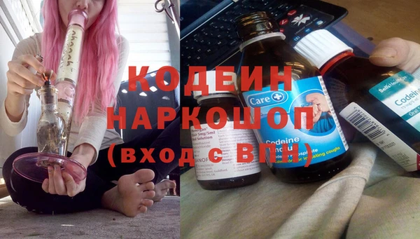 a pvp Бородино