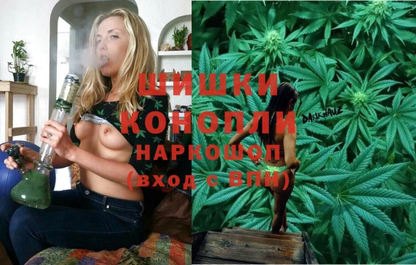 a pvp Бородино