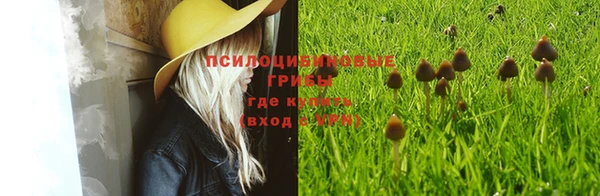 метадон Бронницы