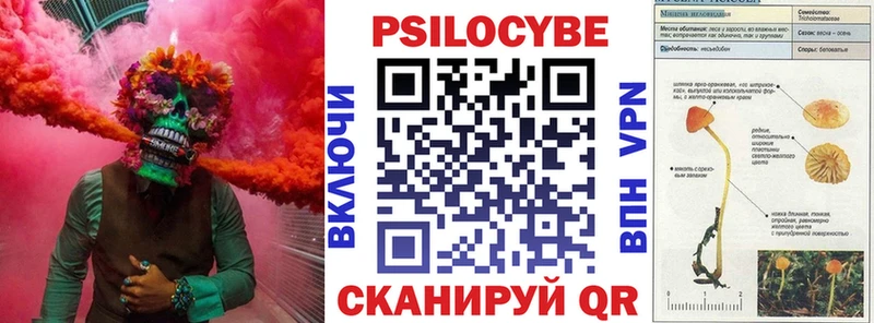 shop наркотические препараты  Гороховец  Галлюциногенные грибы MAGIC MUSHROOMS 